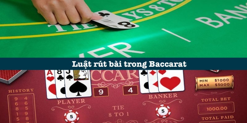 ảnh đại diện baccarat